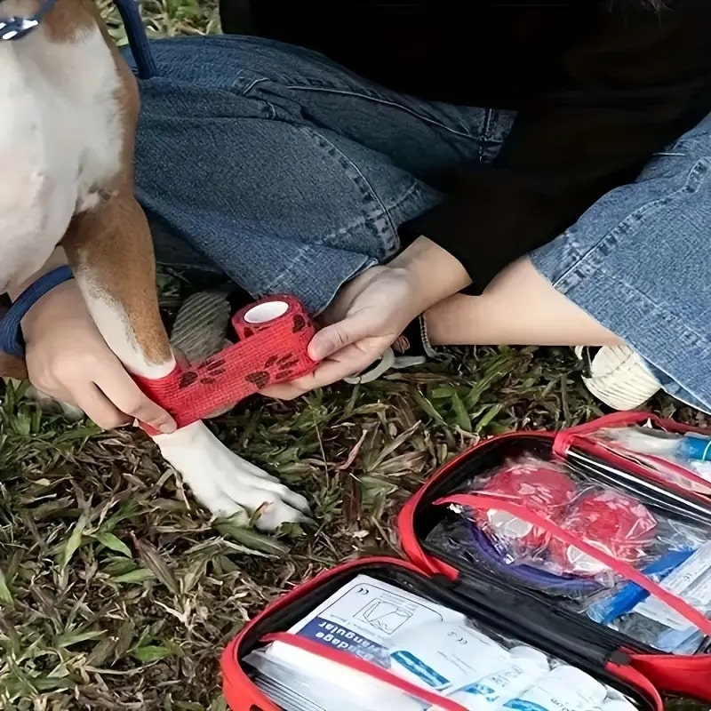 Pet First Aid Kit for Dogs & Cats - 90-Piece Portable